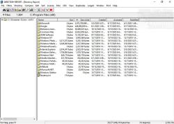 Official Download Mirror for Directory Report