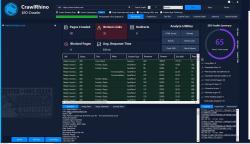Official Download Mirror for CrawlRhino SEO Crawler