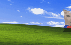 Official Download Mirror for ShakeIt