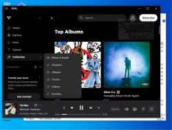 Official Download Mirror for TIDAL
