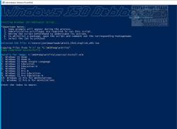 Official Download Mirror for Windows ISO Debloater
