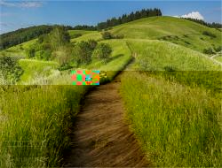 Official Download Mirror for Nature (Dual Monitor) Theme 