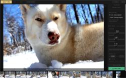 Official Download Mirror for Photo Culler