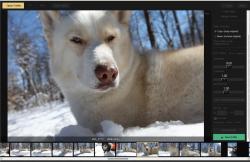 Official Download Mirror for Photo Culler