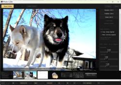 Official Download Mirror for Photo Culler