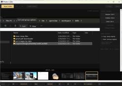 Official Download Mirror for Photo Culler