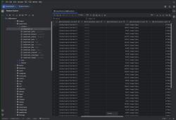 Official Download Mirror for DataGrip