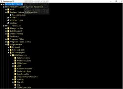 Official Download Mirror for TreeExplorer