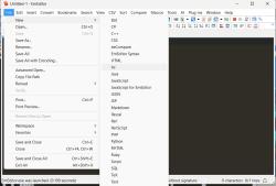 Official Download Mirror for EmEditor