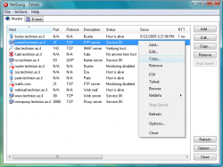 Official Download Mirror for NetGong