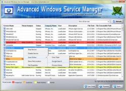 Official Download Mirror for AdvancedWinServiceManager