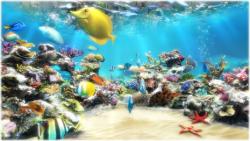 Official Download Mirror for Sim Aquarium III