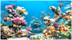 Official Download Mirror for Sim Aquarium III