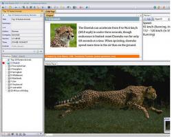 Official Download Mirror for Vole Media CHM
