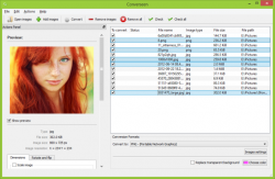 Official Download Mirror for Converseen