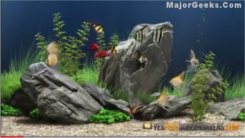 Download Screensaver Aquarium 3d Gratis Image Num 48