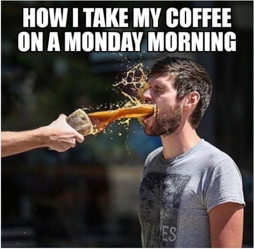 Random Photo Monday Morning Coffee Majorgeeks.