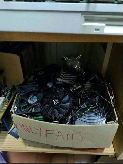 18243_only%20fans%20majorgeeks.jpg