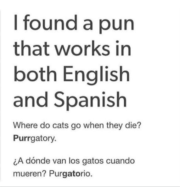 Random Photo: Pun Duo - MajorGeeks