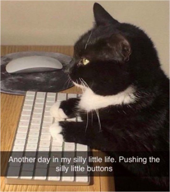 21476_another%20caturday%20majorgeeks.jpg