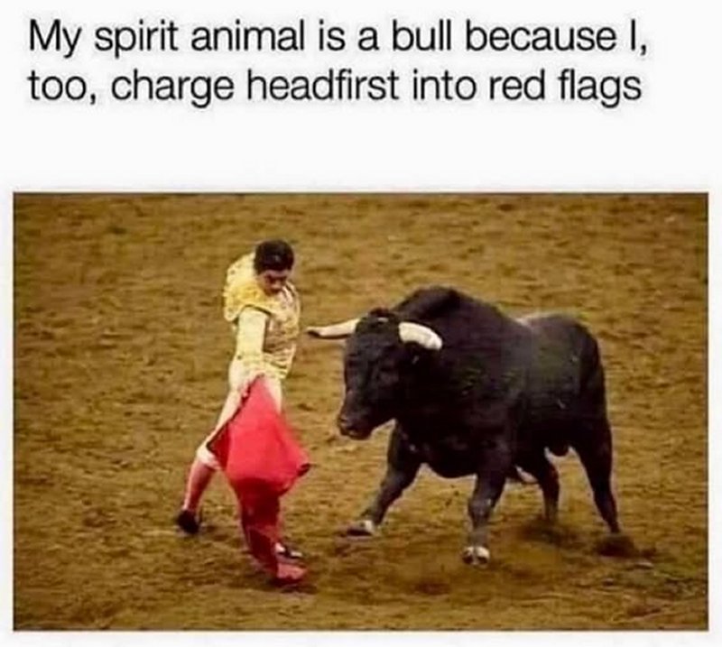 spirit-animal.jpg