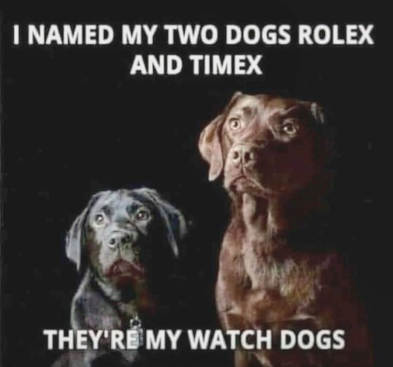 watchdogs.jpg