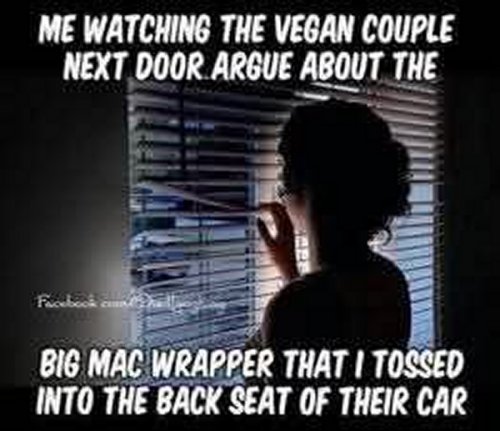 vegan.jpg