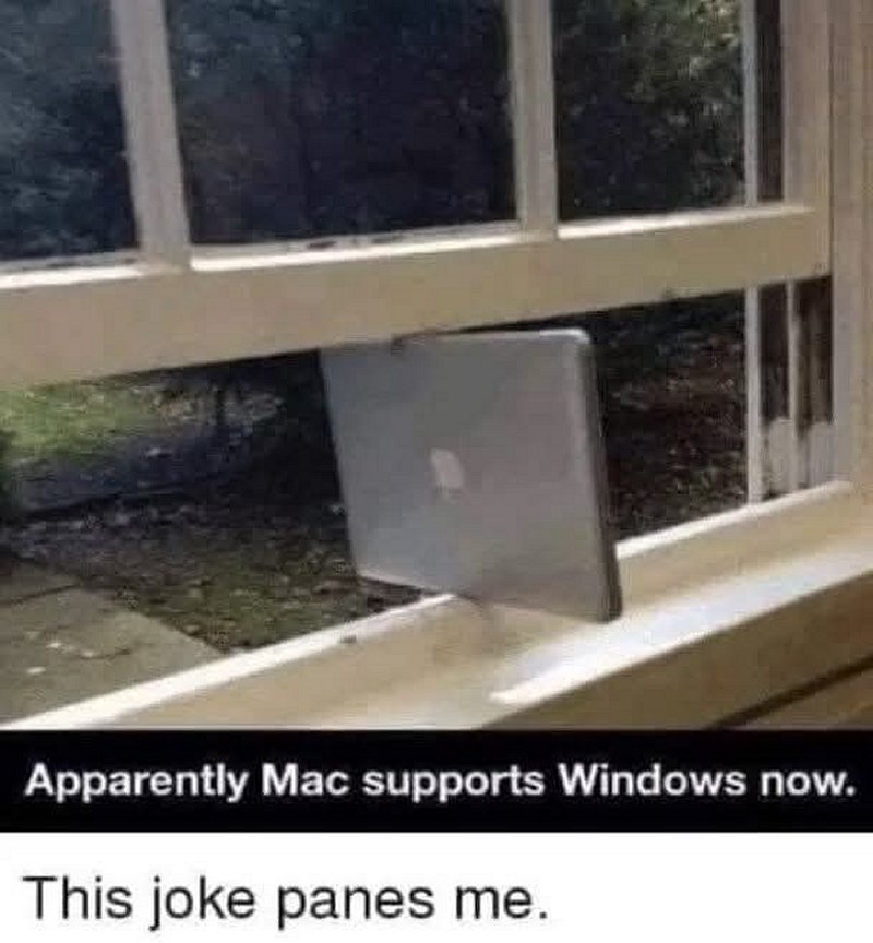 window-pains.jpg