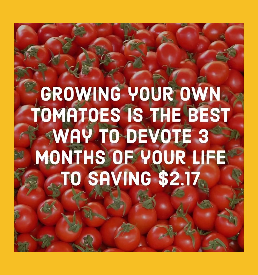 savingmoney.jpg
