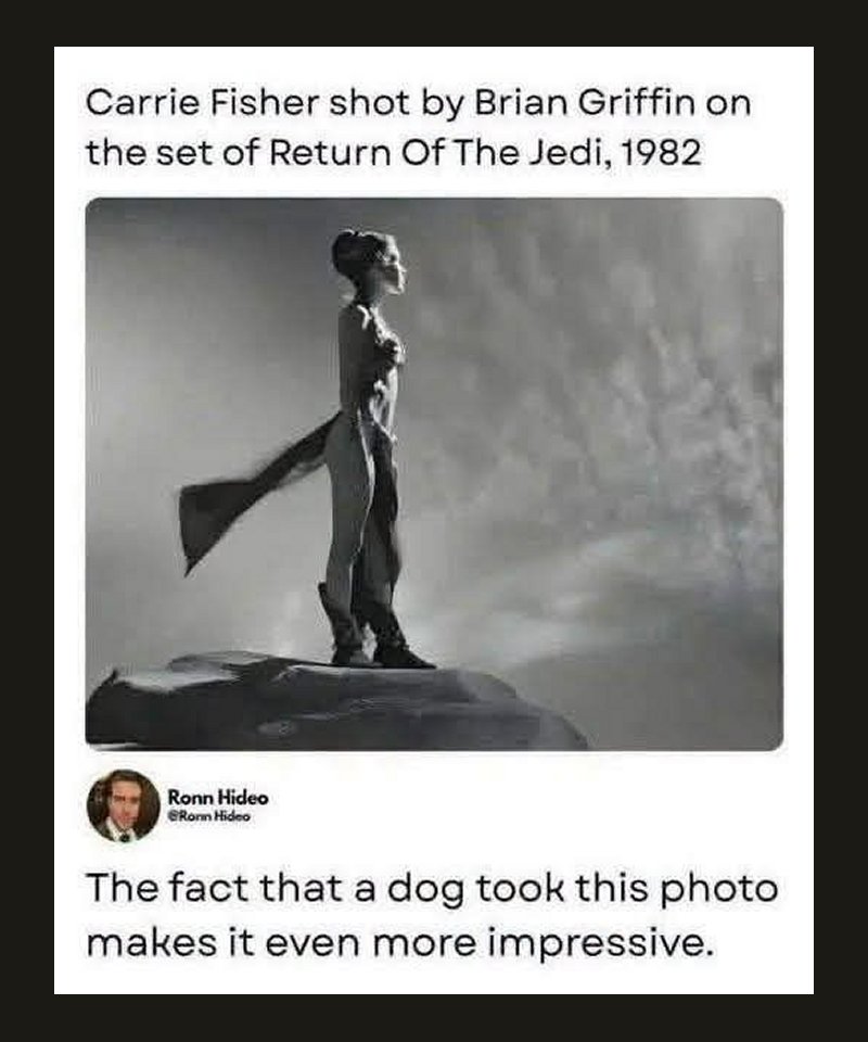 briangriffin.jpg