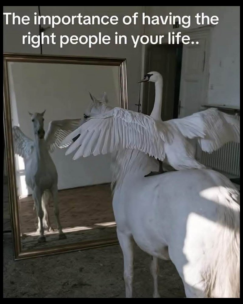 the-right-people.jpg