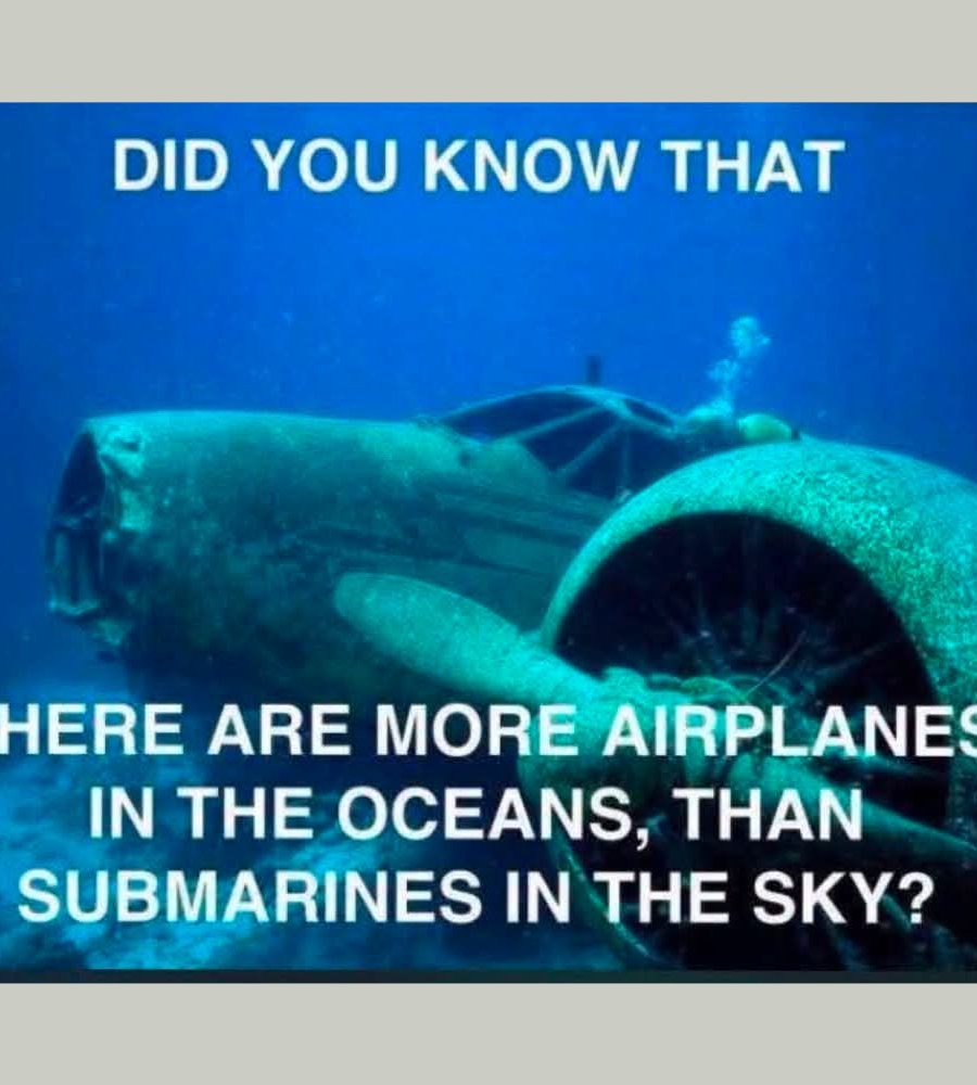 funfact2.jpg