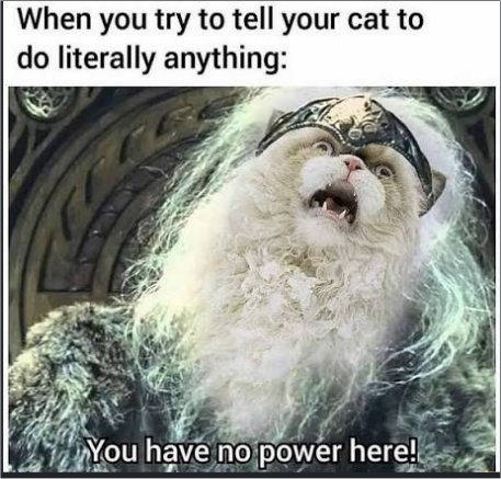 Random Pgoto Random Photo: No Caturday Power - MajorGeeks