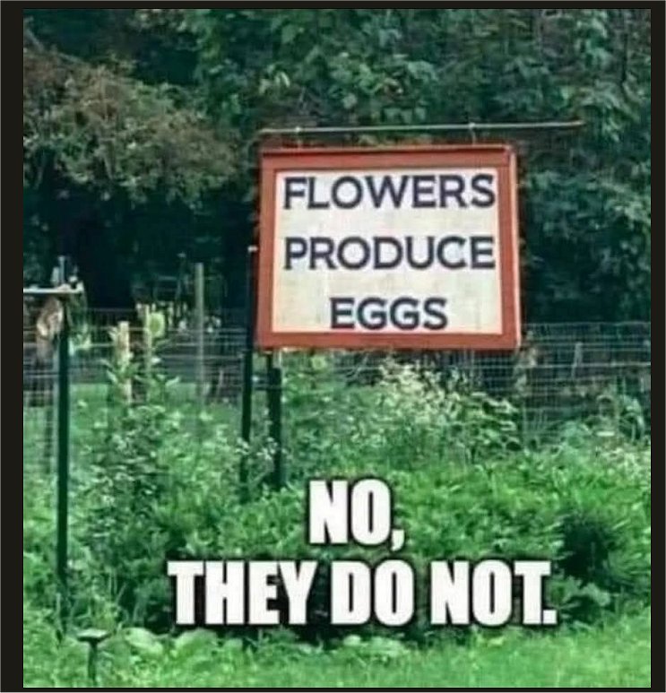 false-advertising.jpg
