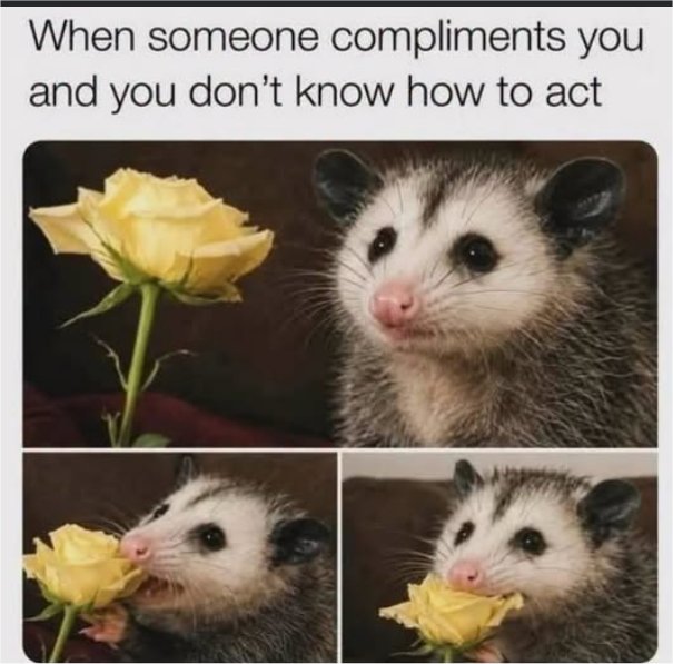 Random Photo: When Someone Compliments You - MajorGeeks